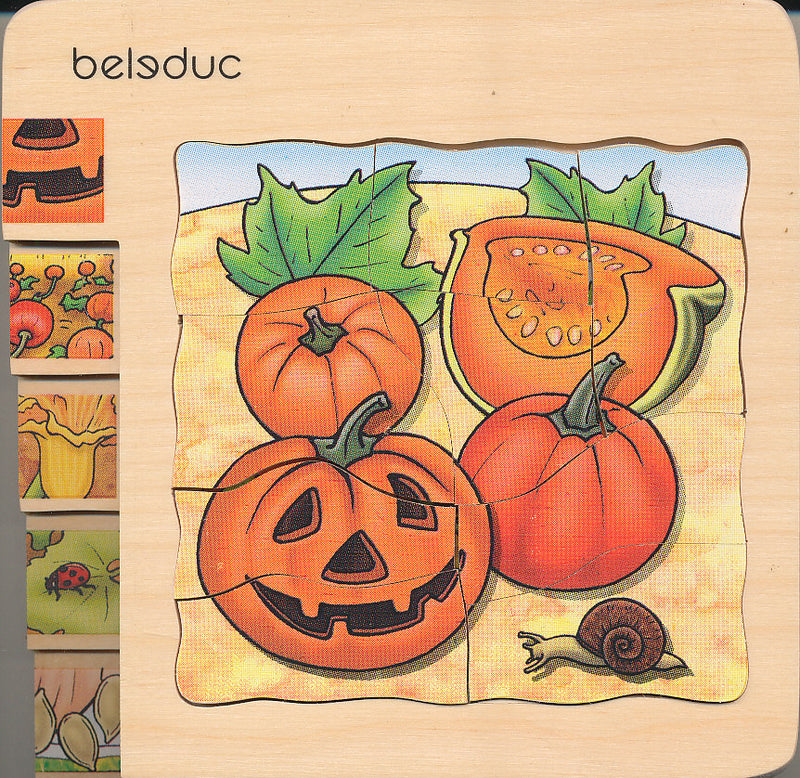 Groeipuzzel Pompoen (4 lagen)
