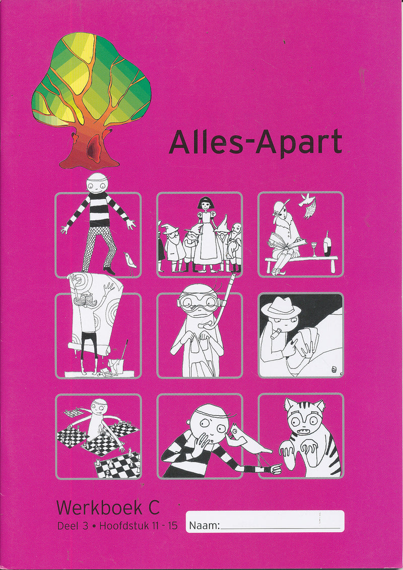 Alles Apart Werkboek C deel 3: hoofdstuk 11-15 (per stuk)