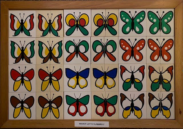 Educo Begrip Lotto Vlinders 2