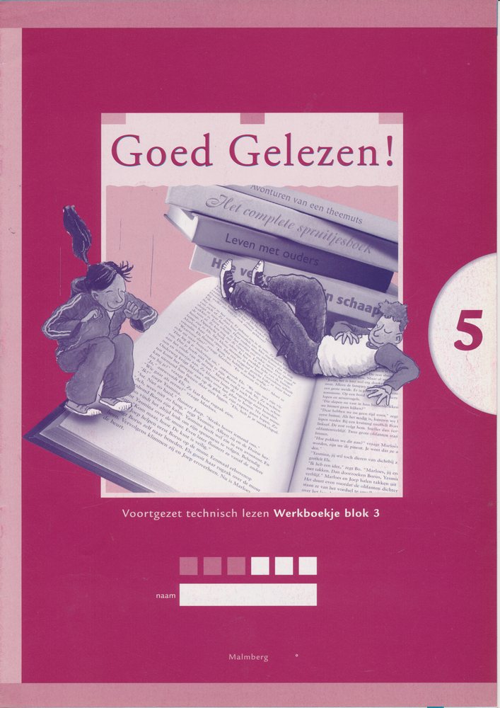 Goed Gelezen versie 2 VTL Werkboek blok 3 groep 5 (per stuk)