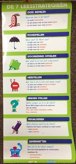 Grip op Lezen Leesstrategieën poster (zie omschrijving)