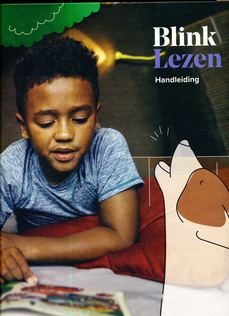 Blink Lezen Handleiding alle groepen