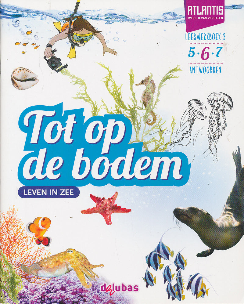 Atlantis Leeswerkboek 3 groep 6 (per pak van 5 stuks)