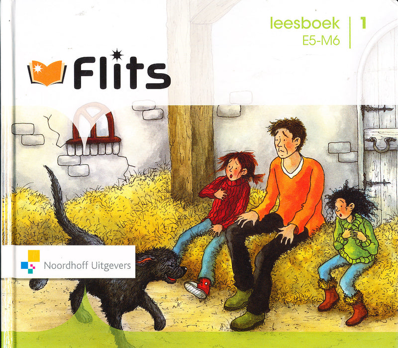 Flits Leesboek niveau E5/M6 deel 1