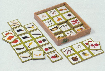 Toys for Life Legumo