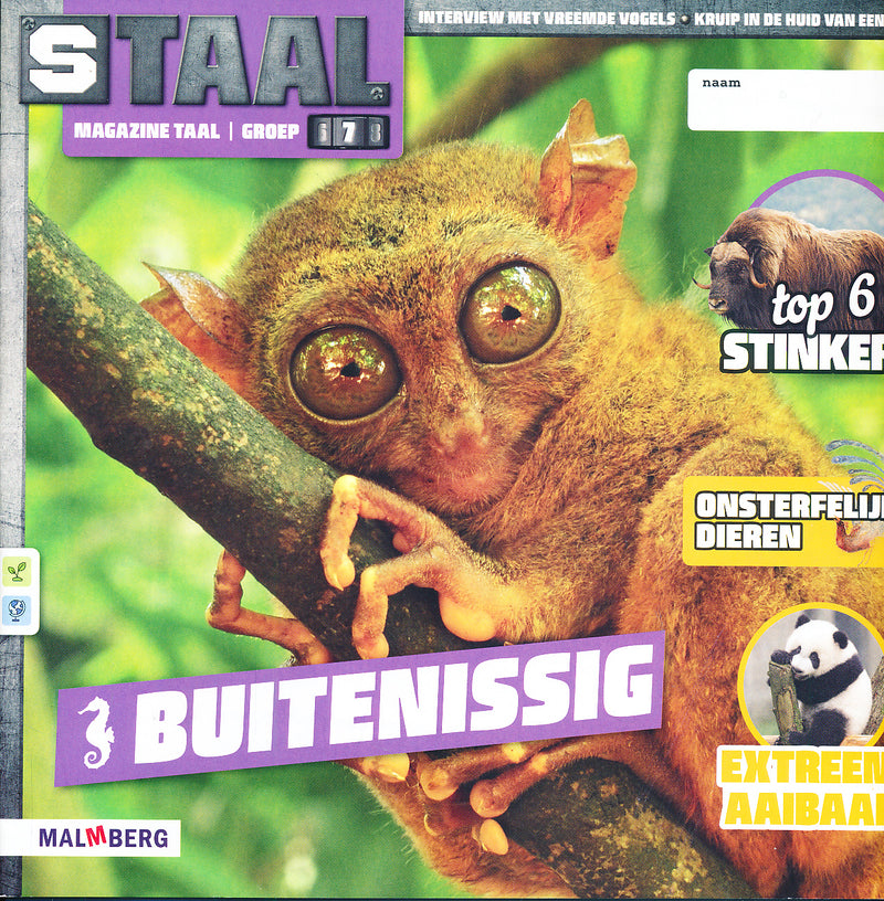 Staal versie 2 Magazine Taal Buitenissig groep 7