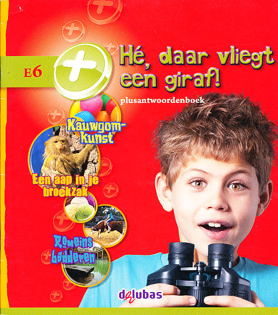 Leesparade versie 2 Antwoordenboek Plus E6