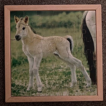 Educo Puzzel Veulen (36 stukjes)