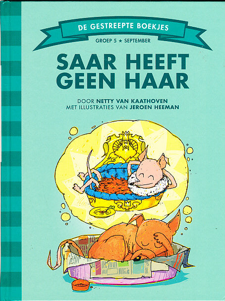 De gestreepte boekjes Saar heeft geen haar groep 5