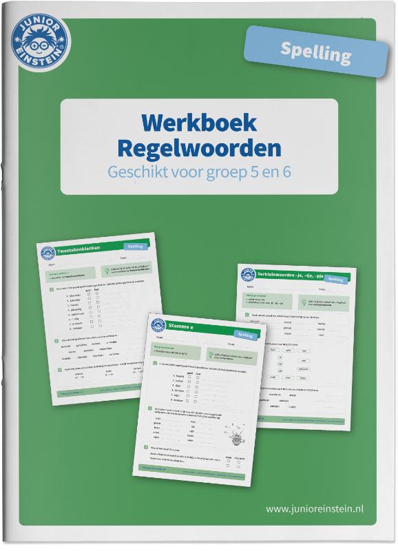 Junior Einstein Spelling werkboek Regelwoorden groep 5-6 (per stuk)