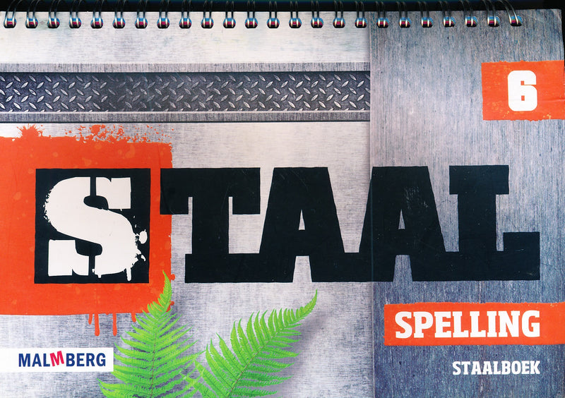 STaal Staalboek spelling groep 6