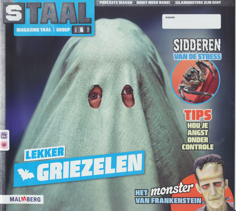 Staal versie 2 Magazine Taal Lekker griezelen groep 6