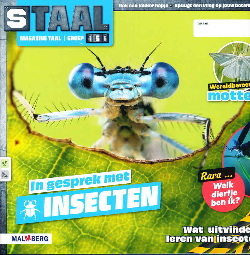 Staal versie 2 Magazine Taal Insecten groep 5