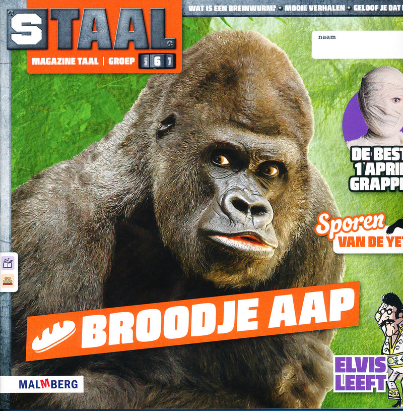 Staal versie 2 Magazine Taal Broodje Aap groep 6