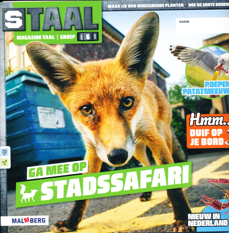 Staal versie 2 Magazine Taal Stadssafari groep 6