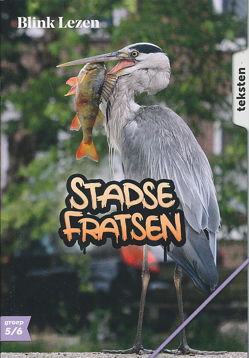 Blink Lezen Thema A-3 Stadse fratsen groep 5/6 (per set zie omschrijving)