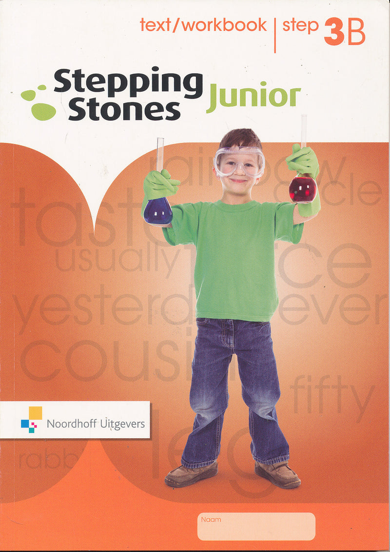 Stepping Stones Junior Text/Workbook 3B (groep 8)