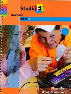 Studio F Niveauboek 2 (blauw) groep 8