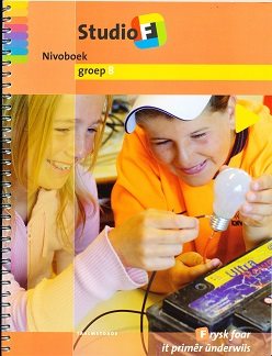 Studio F Niveauboek 3 (geel) groep 8