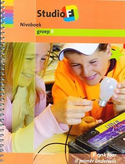 Studio F Niveauboek 4 (groen) groep 8