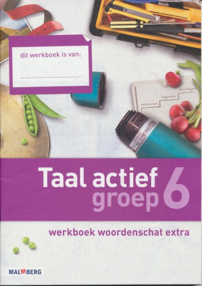 Taal Actief versie 4 Werkboek Woordenschat groep 6 (per stuk)