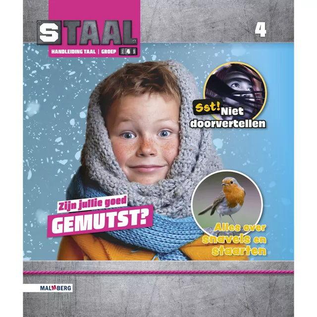 Staal versie 2 Handleiding Taal groep 4 in nieuwstaat