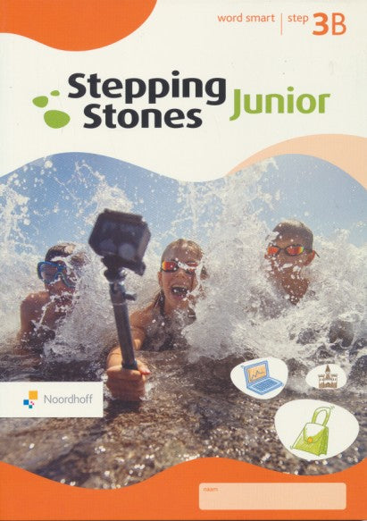 Stepping Stones Junior (2024) Word smart 3B (97890010616610)