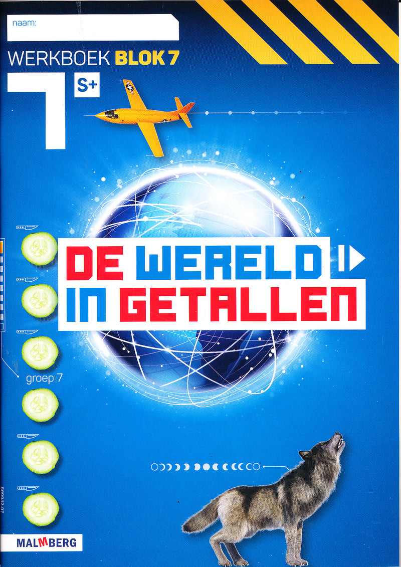 De wereld in Getallen versie 5 Werkboek Blok 7 groep 7 S plus (per stuk)