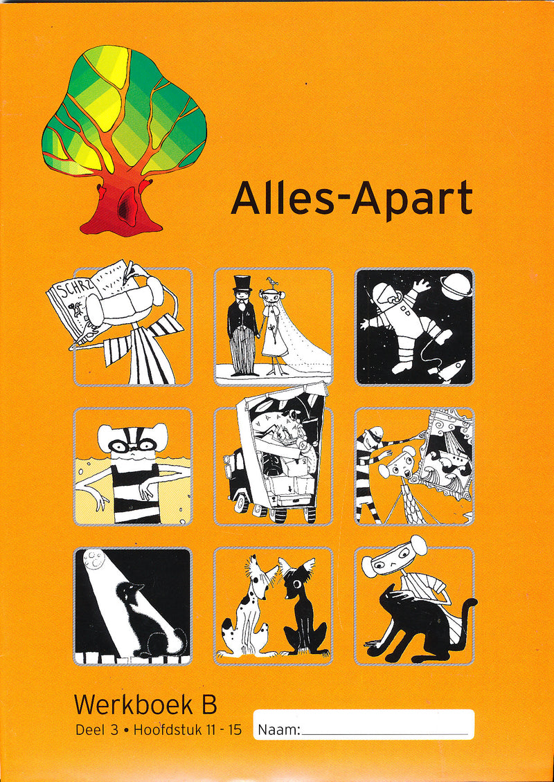 Alles Apart Werkboek B deel 3 hoofdstuk 11-15 (per stuk)