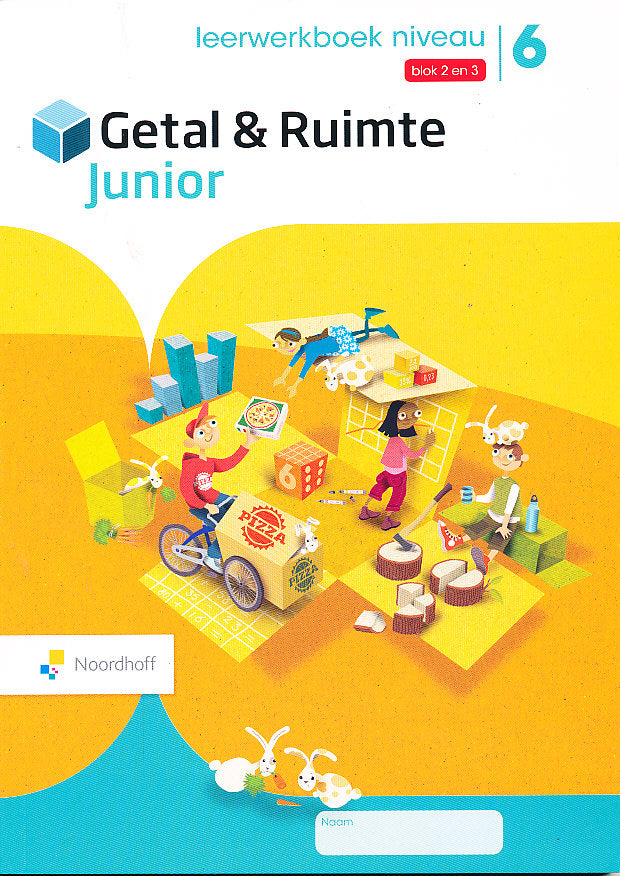 Getal en Ruimte Junior Leerwerkboek NIVEAU blok 2 en 3 groep 6 (per stuk)