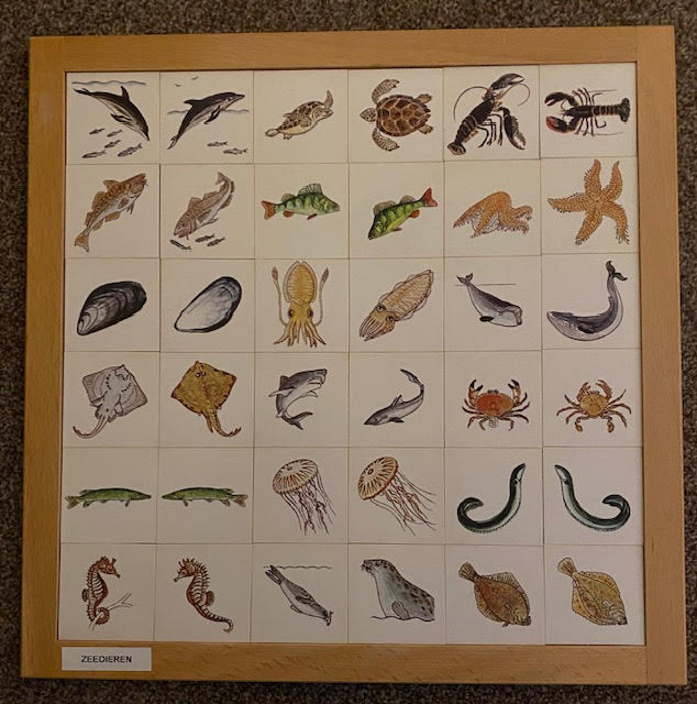 Zeedieren