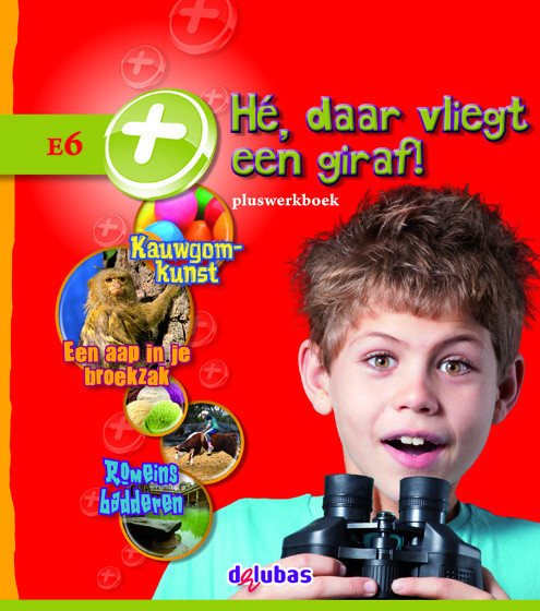 Leesparade versie 2 Werkboek Plus E6