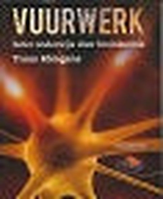 Vuurwerk