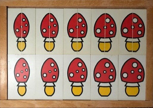 Van dun naar dik (paddenstoelen)