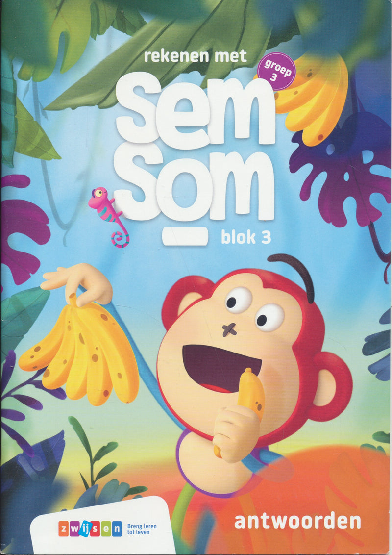 Semsom Antwoordenboek blok 3 groep 3