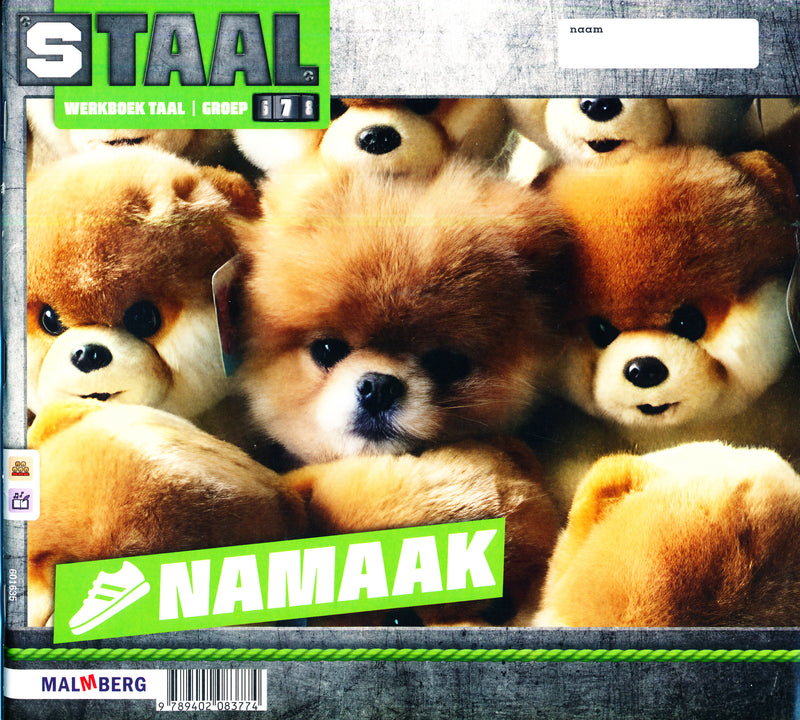 Staal versie 2 Werkboek Taal Ruimte - Namaak groep 7